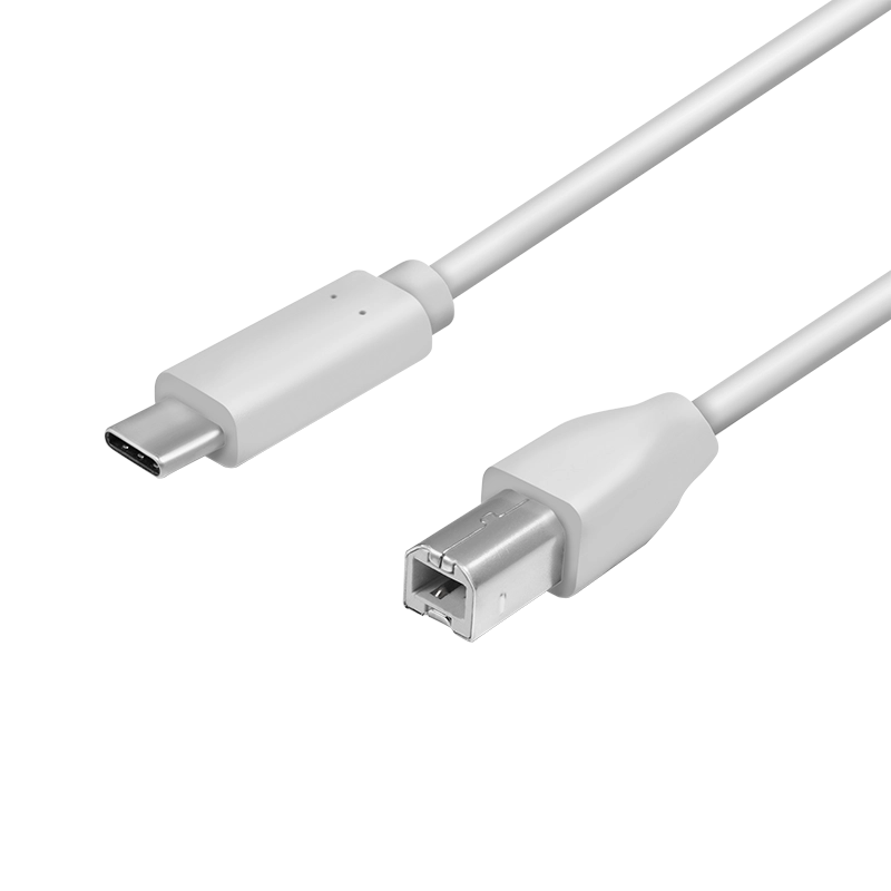 USB 2.0 Type-C Kabel, C/M zu USB-B/M, grau, 2 m