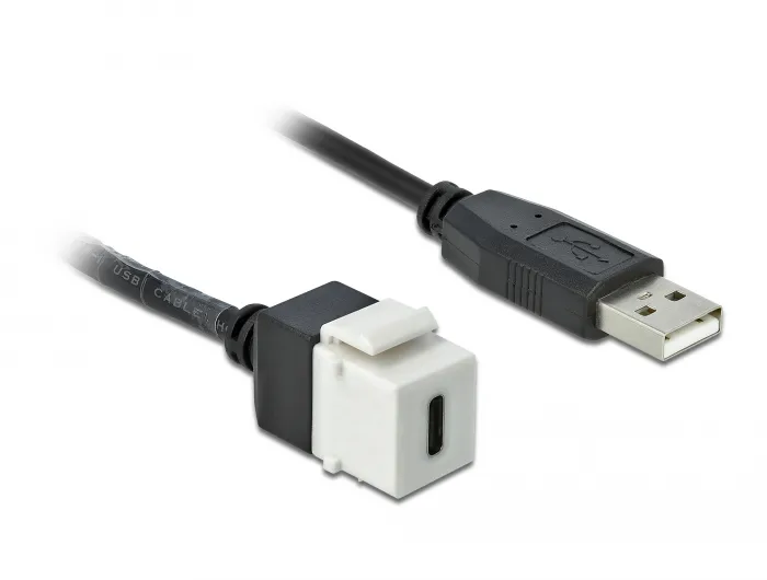 Keystone Modul USB 2.0 C Buchse an USB 2.0 A Stecker mit Kabel, Delock® [86382]