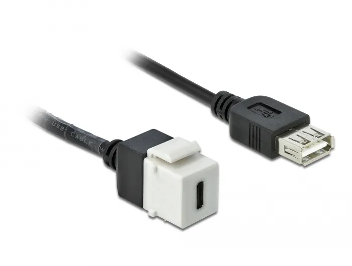 Keystone Modul USB 2.0 C Buchse an USB 2.0 A Buchse mit Kabel, Delock® [86391]