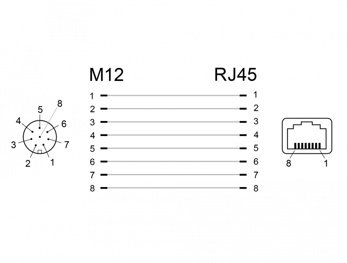 Netzwerkadapter M12 8 Pin A-kodiert Buchse an RJ45 Buchse, Delock® [66314]