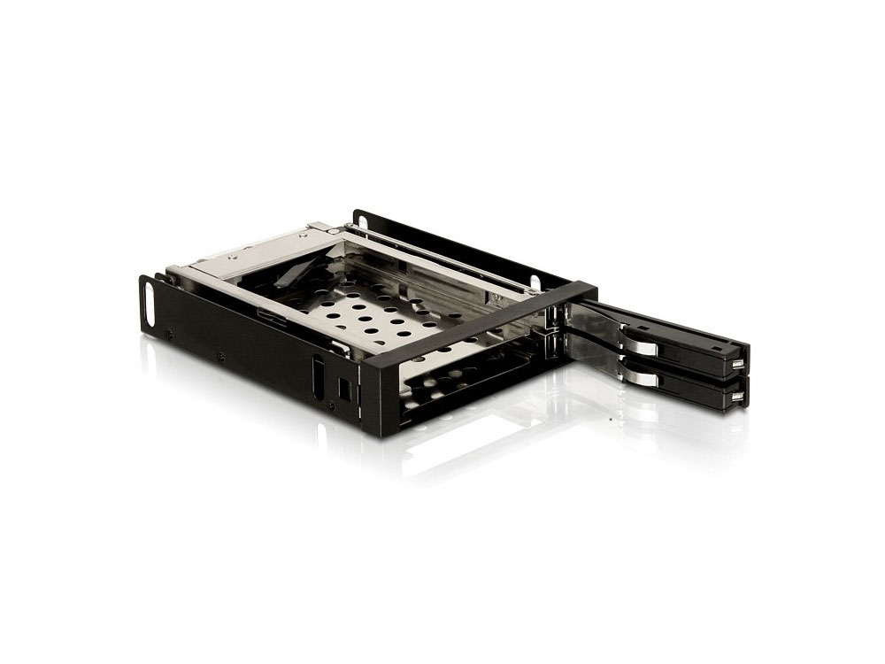 Wechselrahmen 3,5" für 2 x 2.5" SATA HDD, Delock® [47189]