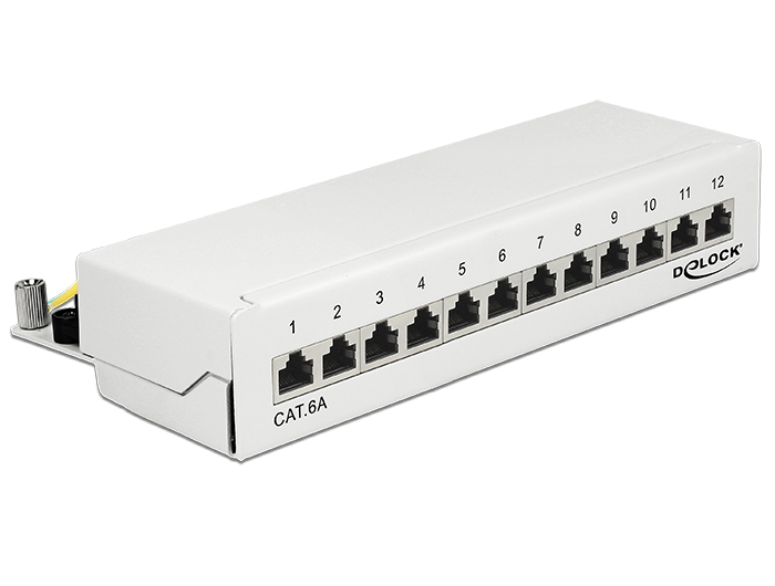 Delock Desktop Patchpanel Cat.6A, 12-Port, weiß, Delock® [87