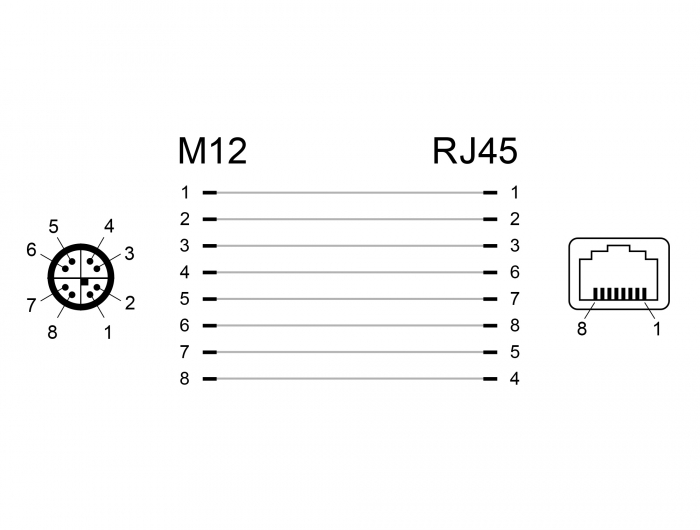 Netzwerkadapter M12 8 Pin X-kodiert Stecker zu RJ45 Buchse, Delock® [66565]
