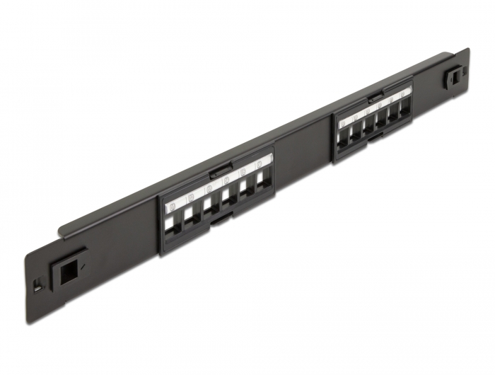 19" Keystone Patchpanel 12 Port werkzeugfrei, Delock® [66821]