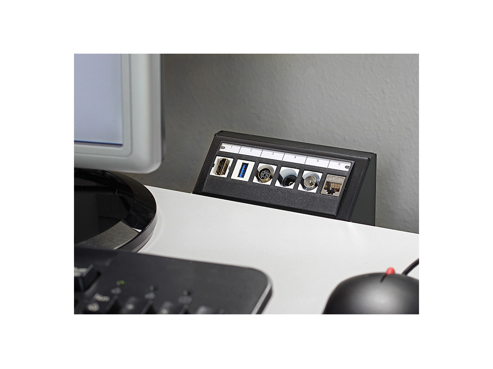 Keystone Multimedia Panel 6 Port, Delock® [86268]