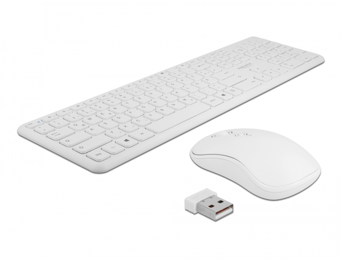 USB Tastatur und Maus Set 2,4 GHz kabellos weiß, Delock® [12